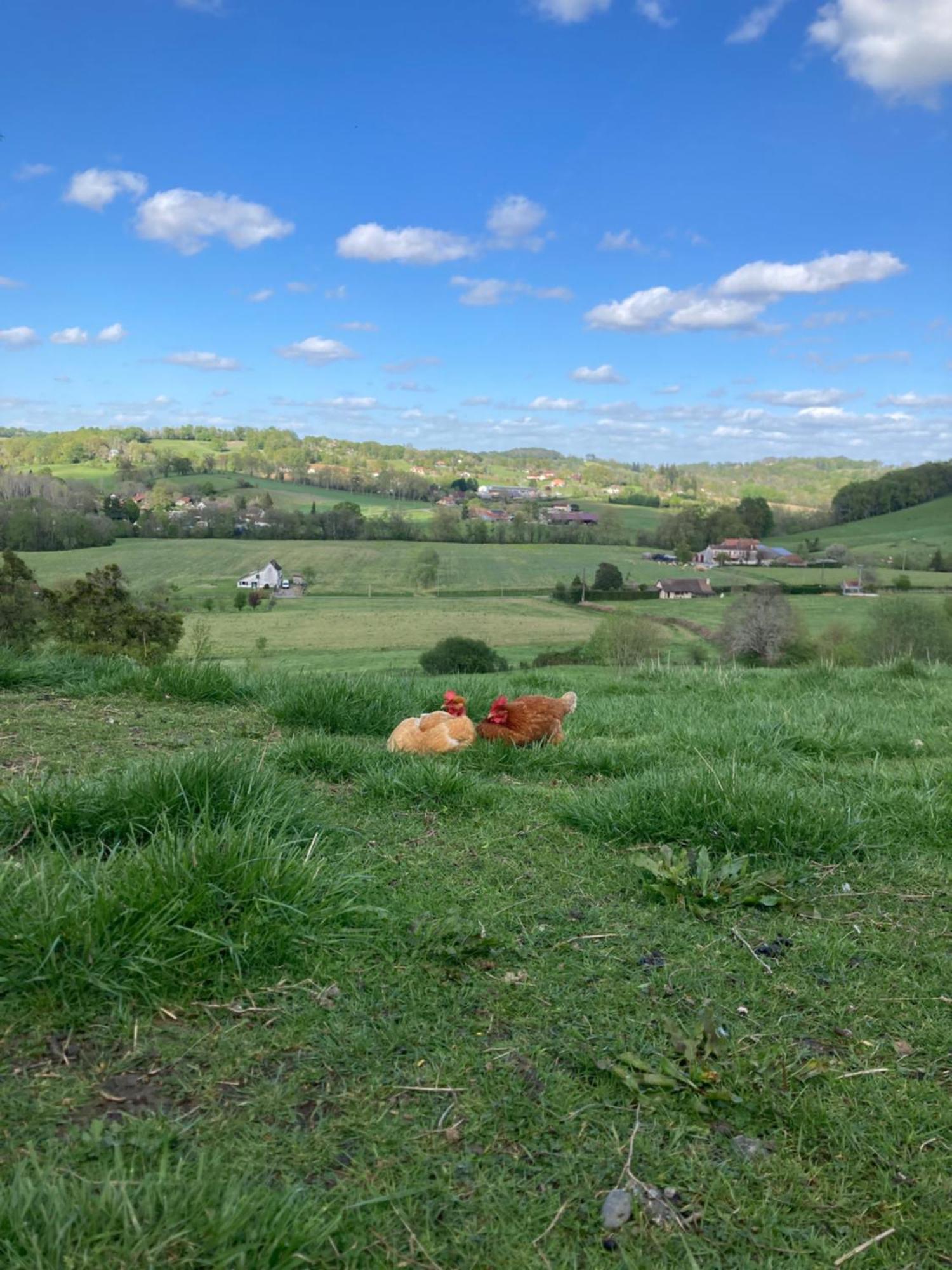 Domaine Labouroume Hotell Salies-de-Béarn Eksteriør bilde